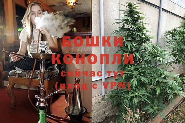 бошки Чекалин