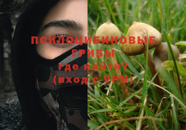марихуана Богородицк