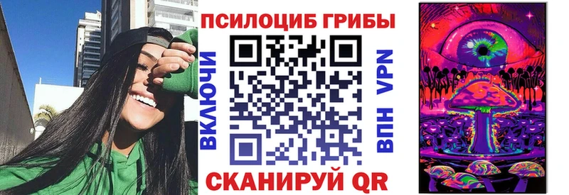 Псилоцибиновые грибы прущие грибы кракен зеркало Астрахань купить закладку