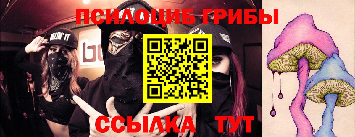 Псилоцибиновые грибы Magic Shrooms  Астрахань  Галлюциногенные грибы MAGIC MUSHROOMS 