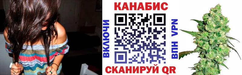 Каннабис сатива Астрахань